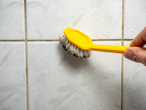 Best Industrial Mold Remediation in Fenton, MO