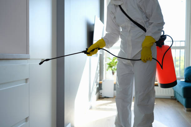 Best Kitchen Mold Remediation in Fenton, MO