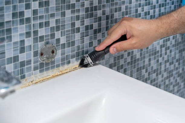 Best Mold Remediation for Specific Building Types in Fenton, MO